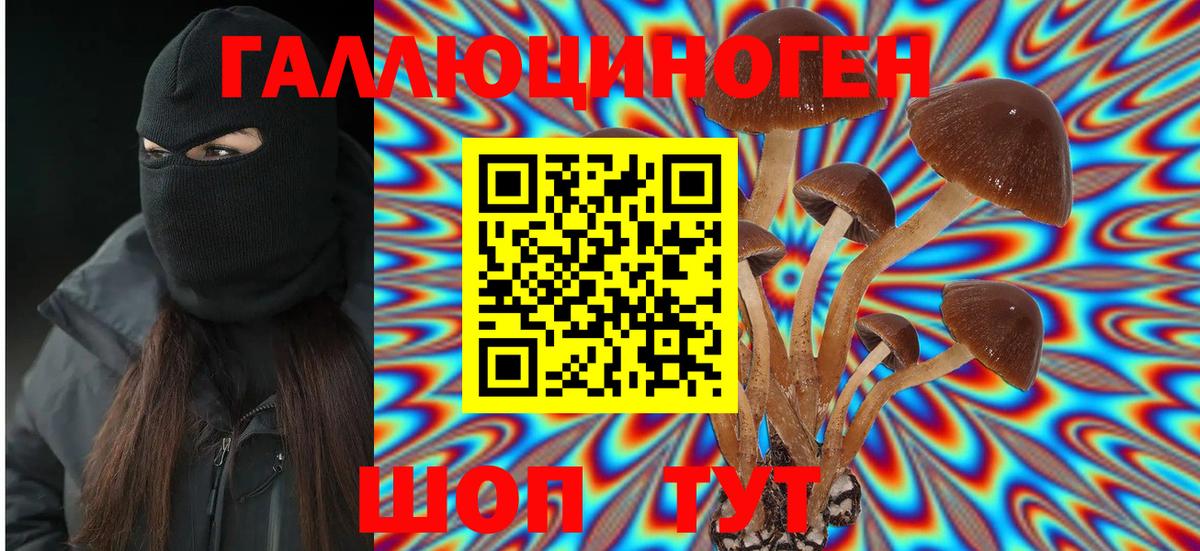 Псилоцибиновые грибы прущие грибы Люберцы
